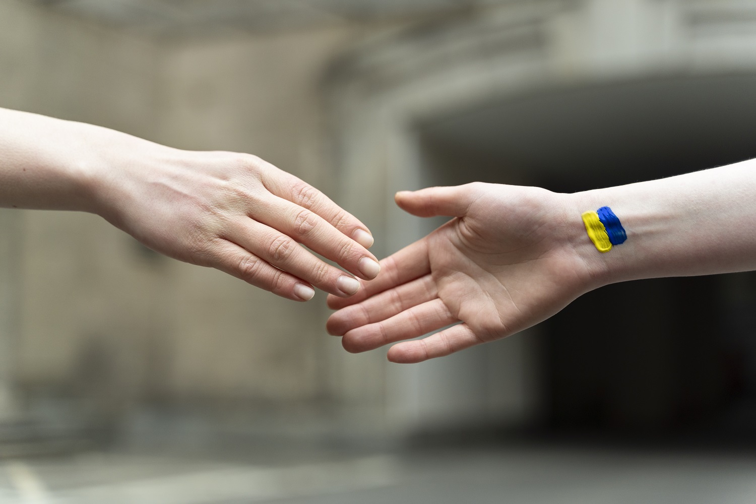 Завершення та результати програми «Кроки для спеціалістів. Взаємодія ОМС та волонтерських об'єднань»