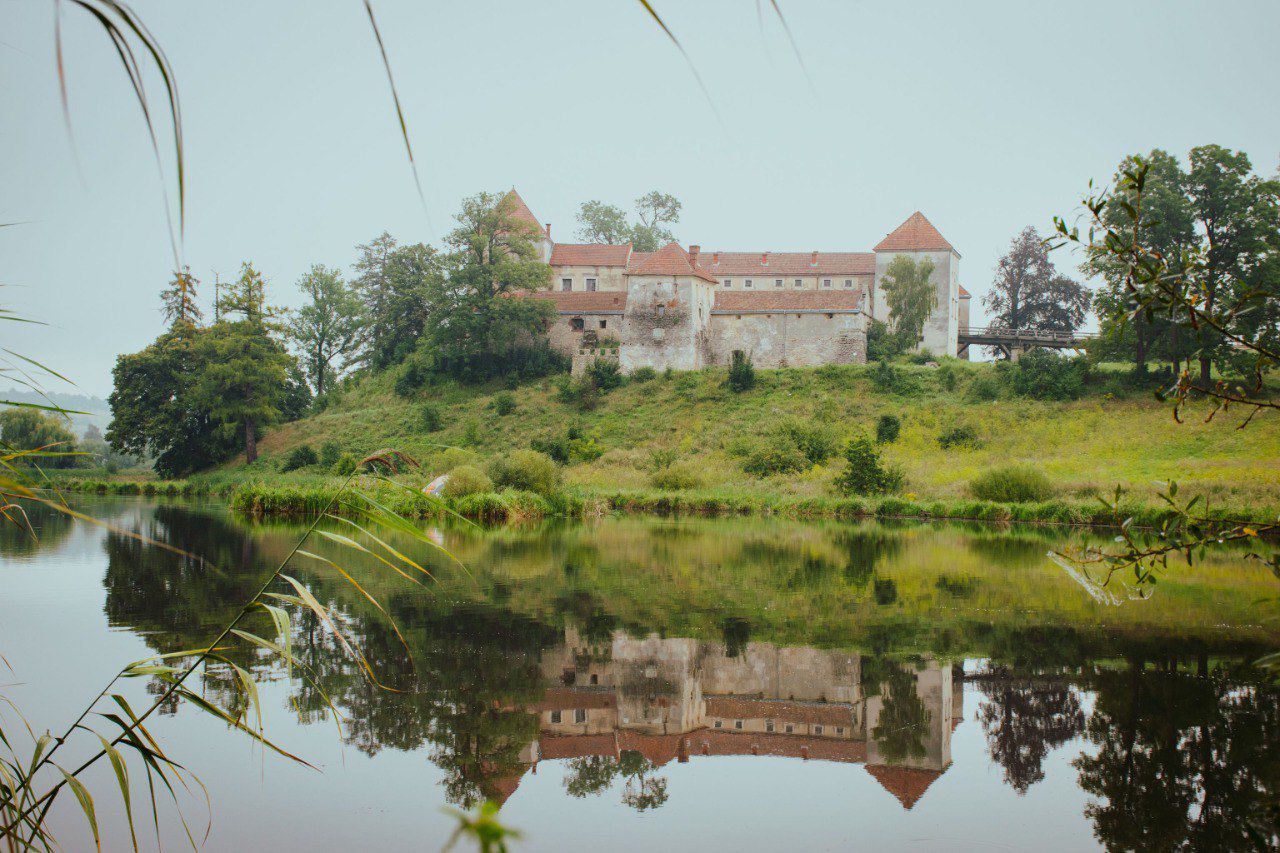 Свірзький замок