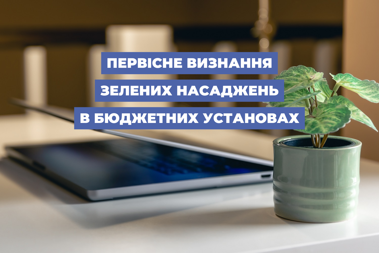 Первісне визнання зелених насаджень в бюджетних установах