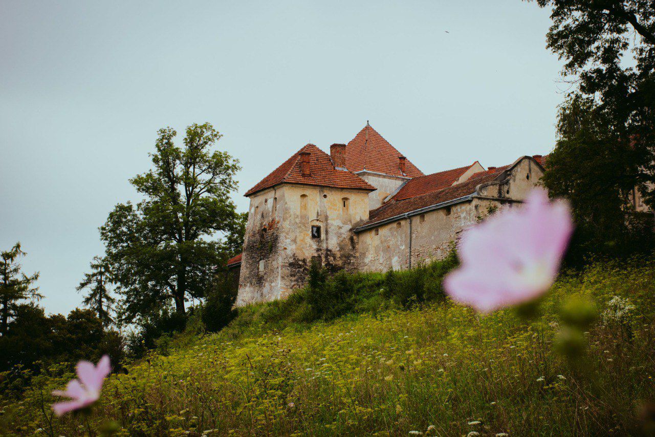 Свірзький замок
